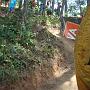 DSC01119