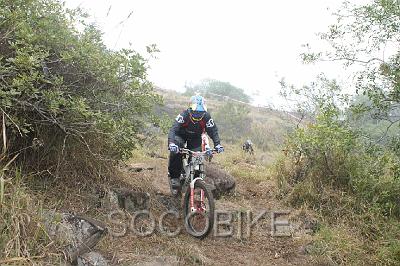 IMG_9282.jpg