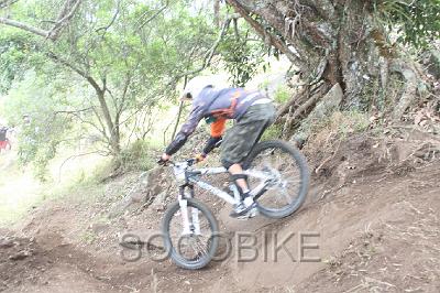 IMG_9338.jpg