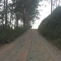 SAM_4311