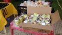 IMG_20170423_103450741