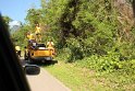 IMG_0745