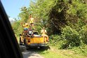 IMG_0746