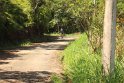 IMG_0779
