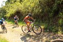 IMG_0816
