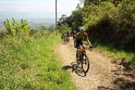 IMG_0883
