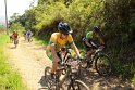 IMG_0930