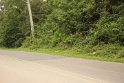 IMG_1545