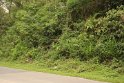 IMG_1547