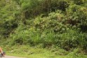 IMG_1548
