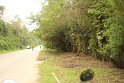 IMG_1561