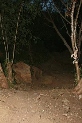 194.jpg