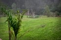 IMG_0825