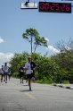 corrida-206