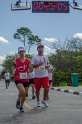 corrida-247
