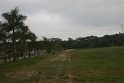 IMG_1011