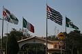 IMG_1081