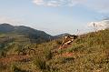 IMG_0872