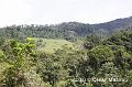 IMG_8288