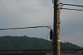 IMG_0329