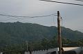 IMG_0331
